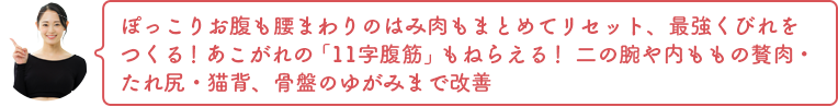ぽっこりお腹も腰まわりのはみ肉もまとめてリセット、最強くびれをつくる！あこがれの「11字腹筋」もねらえる！ 二の腕や内ももの贅肉・たれ尻・猫背、骨盤のゆがみまで改善