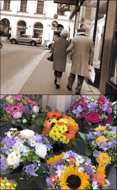 世界各地の風景写真